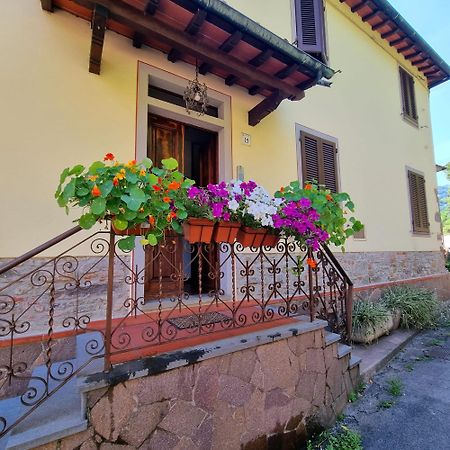 Bed and Breakfast A Collodi Io & Mamma Exterior foto