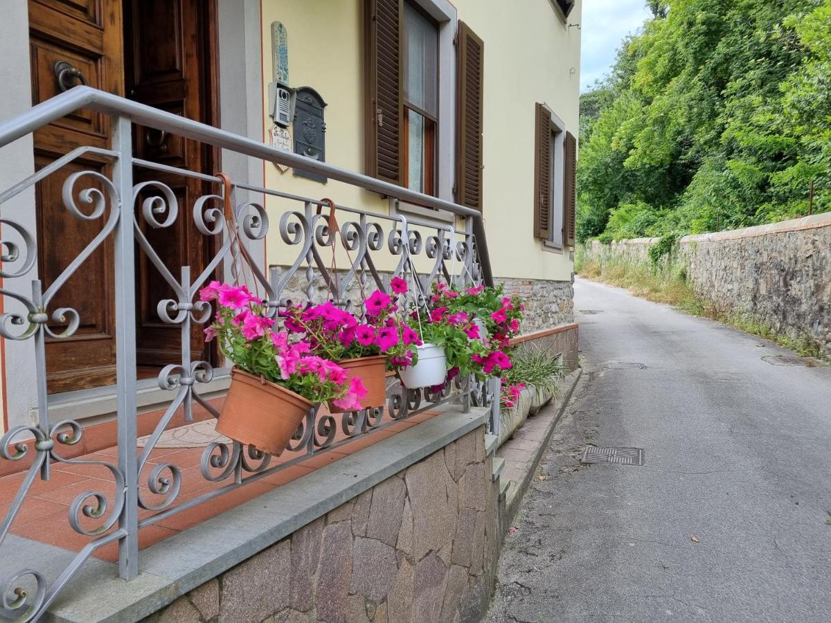 Bed and Breakfast A Collodi Io & Mamma100 M Dal Parco Di Pinocchio Exterior foto